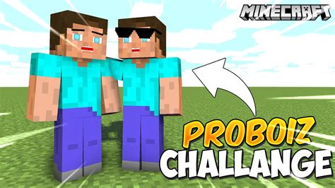 ProBoiz 95 .